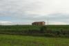 DSC06378.JPG